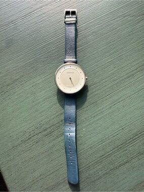 Skagen Watch Gitte SKW2315